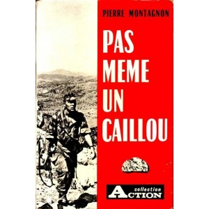 Pierre Montagnon : Pas m&ecirc;me un caillou 