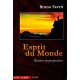 Bruno Favrit : Esprit du Monde