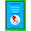 La France en danger d'islam