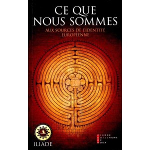 Ce que nous sommes : aux sources de l'identit&eacute; europ&eacute;enne