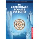 La Cathédrale polaire des Runes